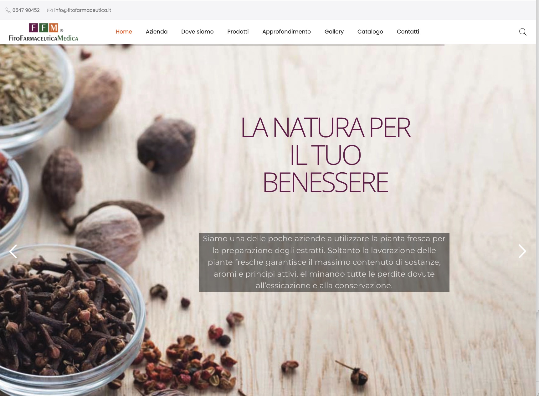 Screenshot homepage Fitofarmaceutica